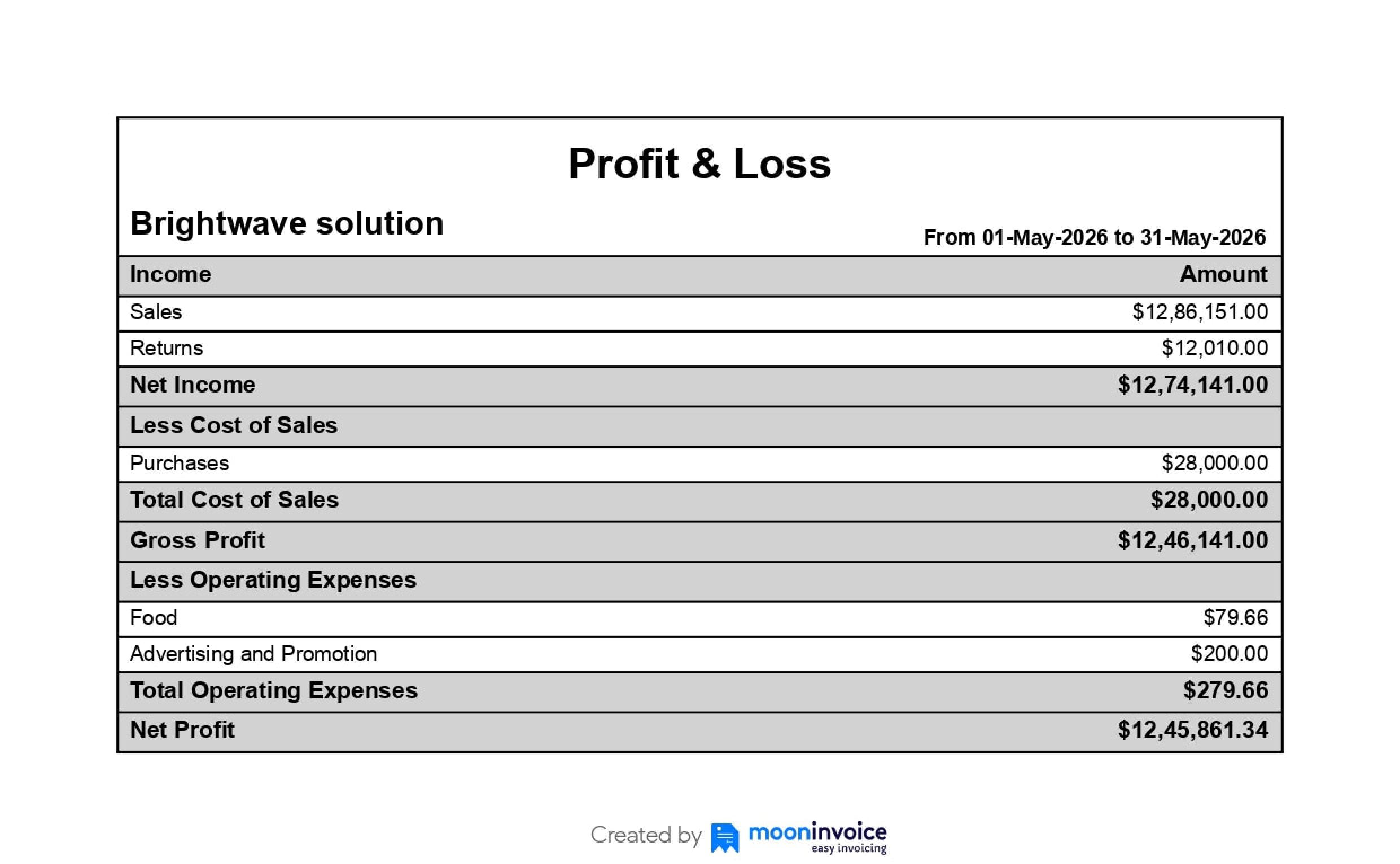 Profit & Loss Statement Example